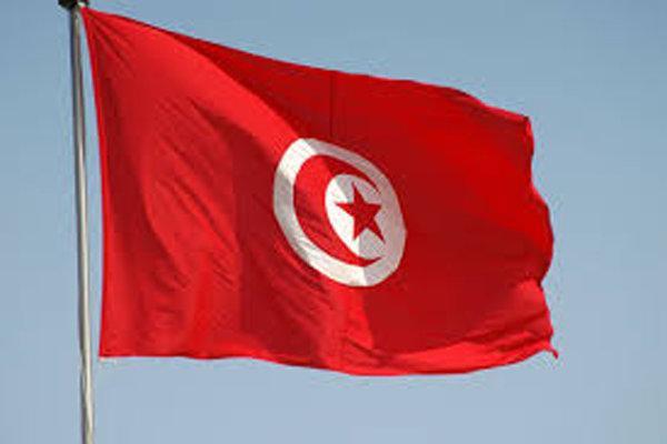 استعفای وزیر بهداشت تونس در پی مرگ 11 نوزاد در یک بیمارستان استعفای وزیر بهداشت تونس در پی مرگ 11 نوزاد در یک بیمارستان