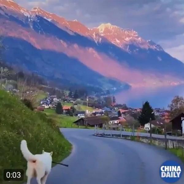 رسوایی رسانه چینی بعد از اینکه می خواست تصاویر کوه آلپ را به جای جاذبه های طبیعی چین جا بزند!