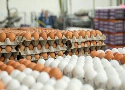 هر شانه تخم مرغ به 70 هزار تومان رسید!