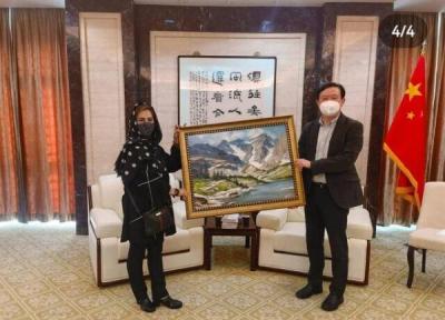 عکس ، ملاقات سفیر چین با خانم هنرمند ایرانی