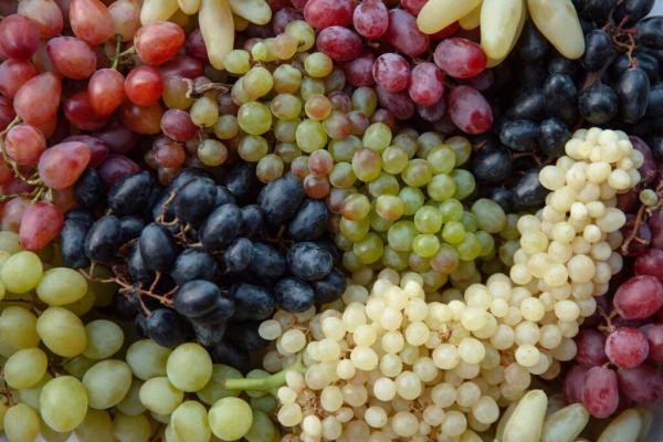 این موقع انگور بخورید چاق می شوید ، خواص باورنکردنی انگور این موقع انگور بخورید چاق می شوید ، خواص باورنکردنی انگور