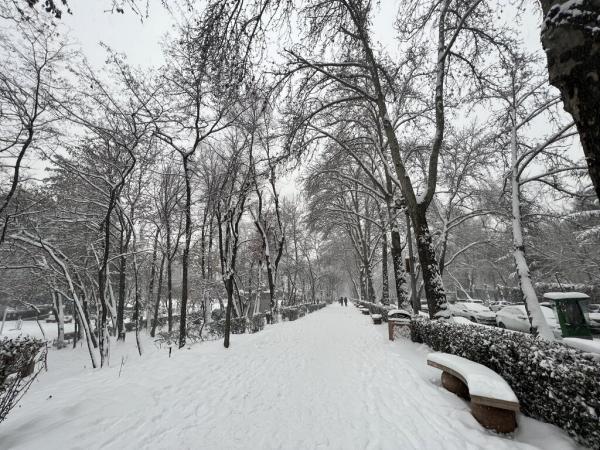 نفوذ توده هوای سرد به کشور ؛ استان هایی که باید آماده باشند ، کاهش پنج درجه ای دما تا سرانجام هفته