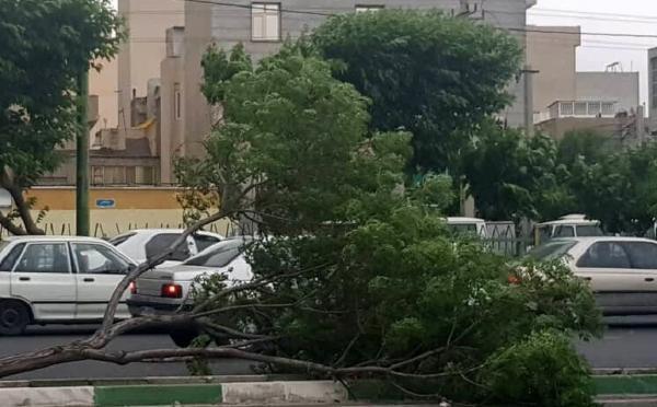احتمال وقوع تندباد لحظه ای در تهران، کاهش نسبی دما تا یکشنبه