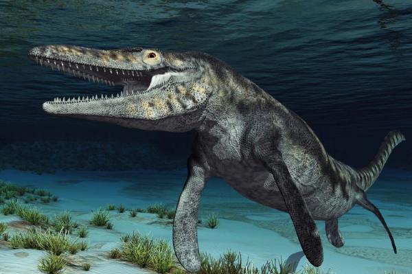 این موجود غول پیکر 72 میلیون سال پیش بر روی زمین می زیسته!، عکس