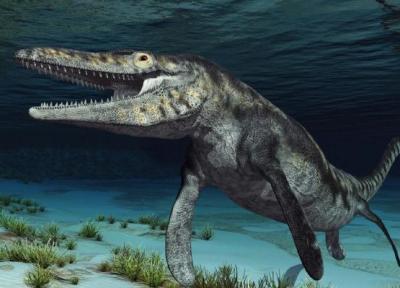 این موجود غول پیکر 72 میلیون سال پیش بر روی زمین می زیسته!، عکس