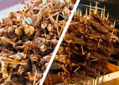 عجیب ترین غذاهای تایلند